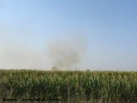 Imagine atasata: Incendiu Sag - 2017.07.10 - 20.jpg